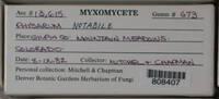 Image Associated With the Occurence